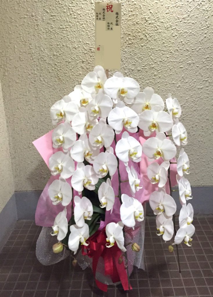 上場祝いの胡蝶蘭